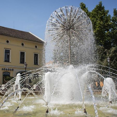 Appartamento Marusius Apartmanház Makó Esterno foto